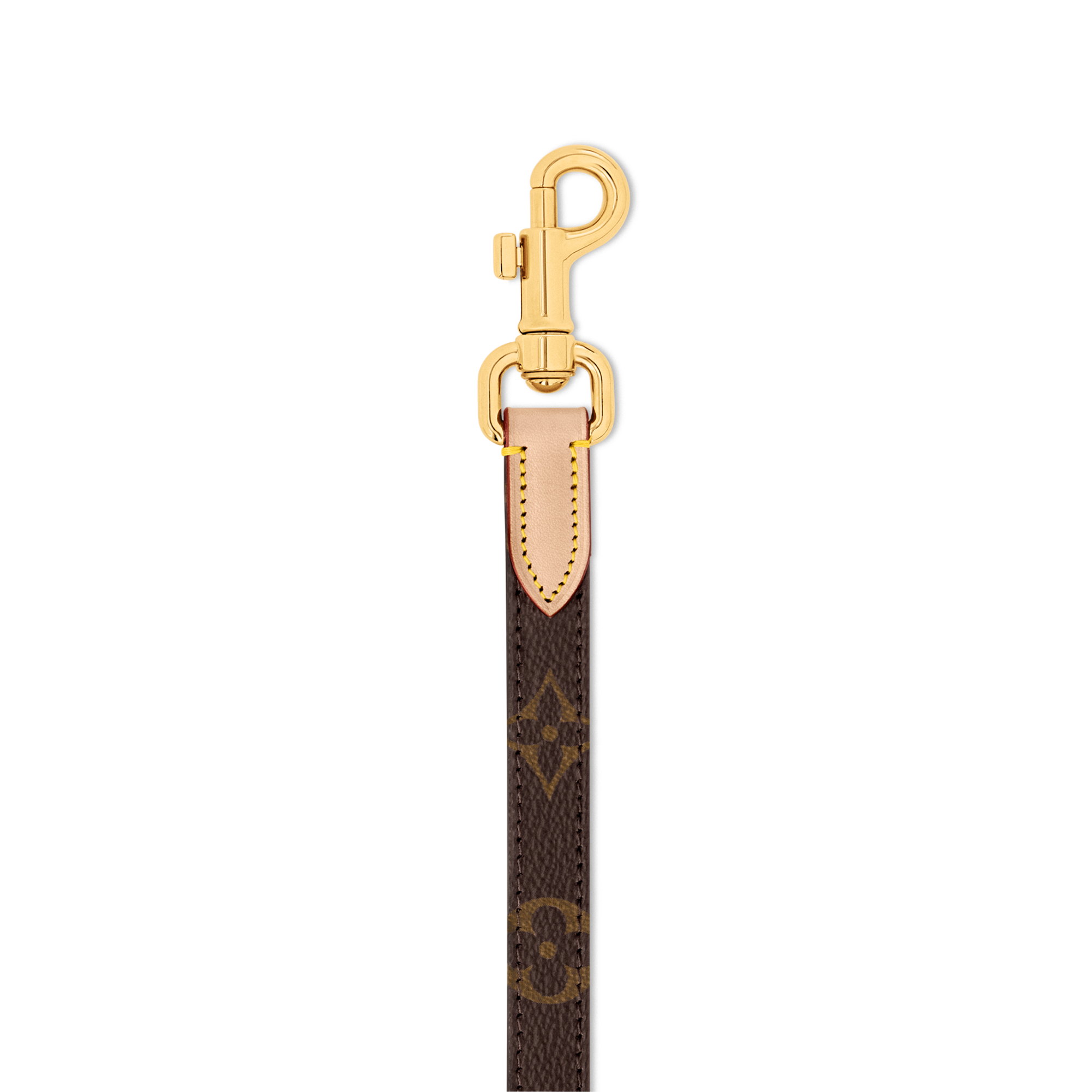 Dog Leash PM - Pets Accessories | LOUIS VUITTON